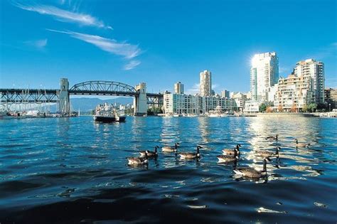 False Creek (Vancouver) - All You Need to Know BEFORE You Go - Updated 2021 (Vancouver, British ...