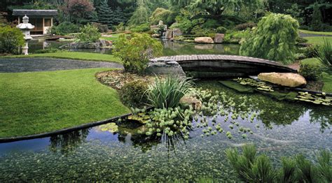 ZEN Associates Traditional Japanese Gardens