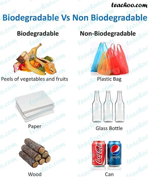 Biodegradable And Non Biodegradable Diagrams