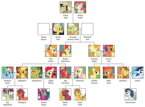 Applejack's Family Tree by Takara-Phoenix on DeviantArt