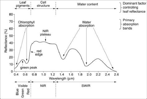 Typical Spectral Reflectance Curve for Vegetation. Source-[6] | Download Scientific Diagram