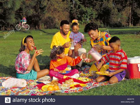 AFRICAN AMERICAN FAMILY HAVING A PICNIC IN THE PARK AFRICAN AMERICAN ...