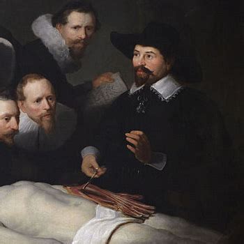 Rembrandt Paintings Anatomy