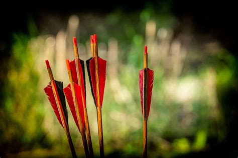 Can You Shoot An Arrow Without A Tip? - The Body Training