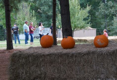 Fall Festival Time at Noble Oaks Farm in Texarkana