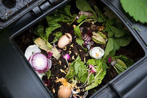 10 Best Indoor Compost Bins - The Kitchen Storage & Composting Solution That You Should Not Lack ...