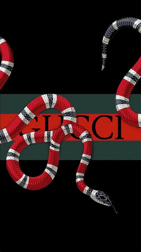 Gucci Snake Wallpapers - Top Free Gucci Snake Backgrounds - WallpaperAccess