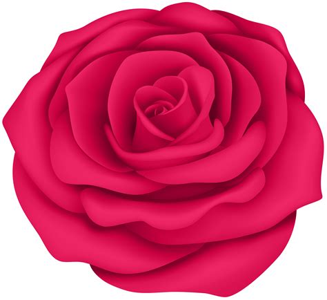 a large pink rose is shown on a white background for use in greeting ...