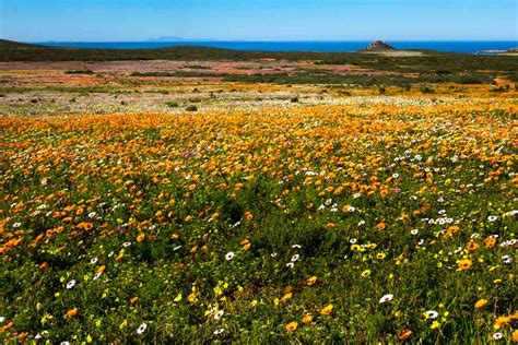 West Coast National Park: The Complete Guide