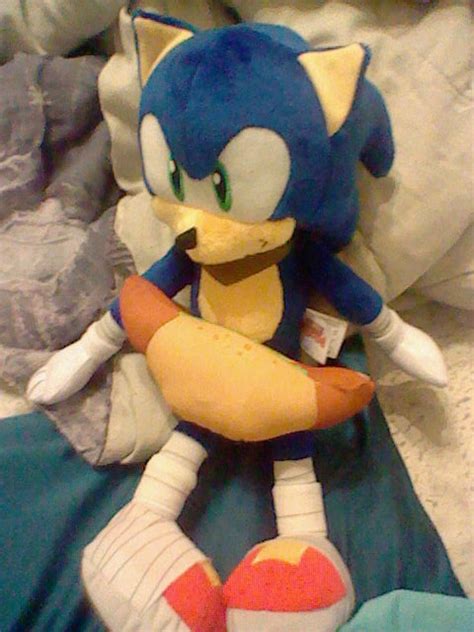 Sonic and Chili Dog Plushes by Sega-Chan