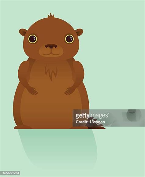 Groundhog Shadow High Res Illustrations - Getty Images