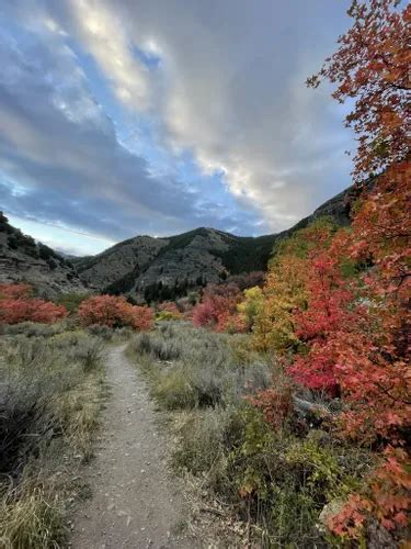 10 Best Trails and Hikes in Logan | AllTrails