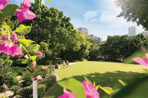 South Bank Brisbane: Exploring the City’s Cultural Heart | Queensland