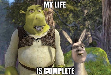 150+ Funny Shrek Memes For True Ogres (And Donkeys) – FandomSpot