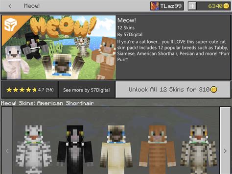 Best ‘Minecraft’ Skins On the Marketplace—’Star Wars’, ‘Stranger Things’, and More – TouchArcade