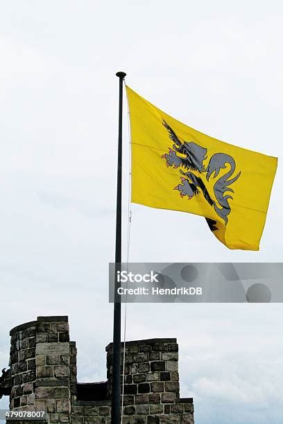 Flemish Lion Stock Photo - Download Image Now - Flemish Flag, Flag, Belgian Culture - iStock