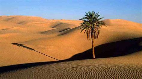 Egypt desert safari tour Cairo Bahariya prices, booking