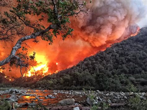 Wildfire, drought, pests threaten Sierra Nevada’s wild forests – FSRN