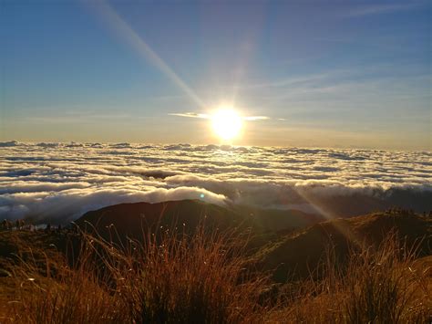 Sunrise at Mt. Pulag : PhilippinesPics