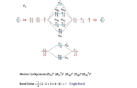 Draw and write the molecular configuration of nitrogen molecule ...