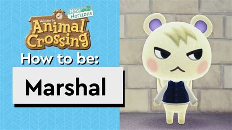 Marshal - Reactions, Gift guide, House & Bio | Animal Crossing - Smug ...