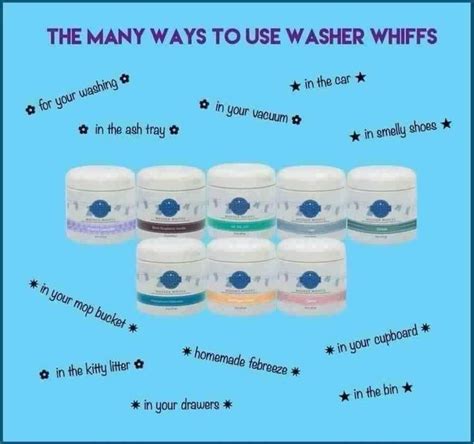 Scentsy | Scentsy, Scentsy washer whiffs, Scentsy scent