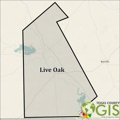 Live Oak County Shapefile and Property Data - Texas County GIS Data