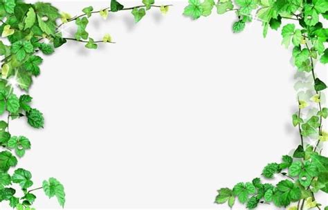 Green Leaves Frame PNG, Clipart, Backgrounds, Border, Flowers, Flowers Frame, Frame Free PNG ...