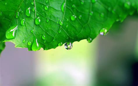 Monsoon Wallpapers HD - Wallpaper Cave