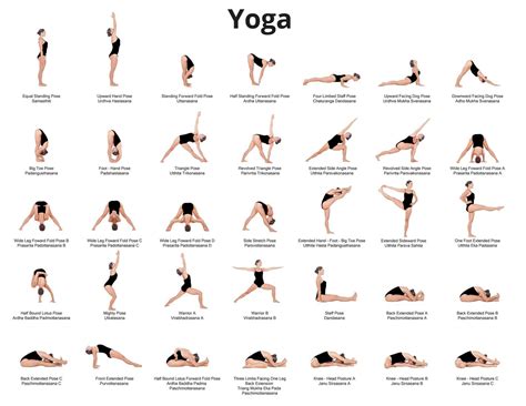 Yoga Poses For Beginners Pdf