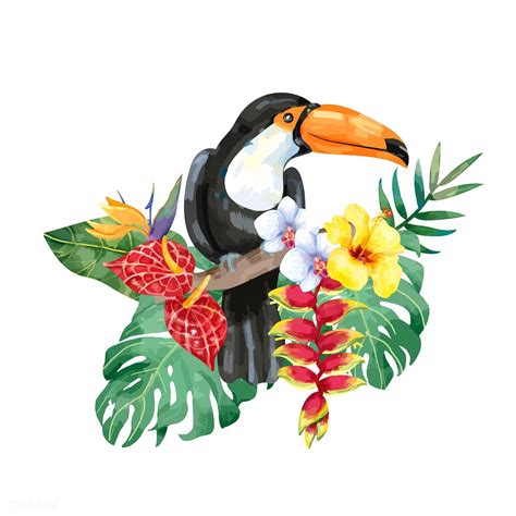 Hand drawn toucan bird with tropical flowers | premium image by rawpixel.com | Tucano desenho ...