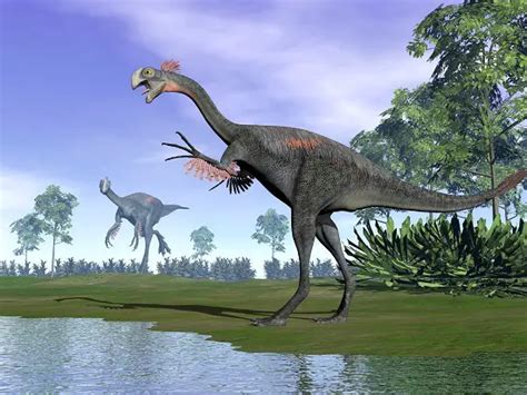 What Was The Biggest Omnivore Dinosaur? - Dinosaur Facts For Kids