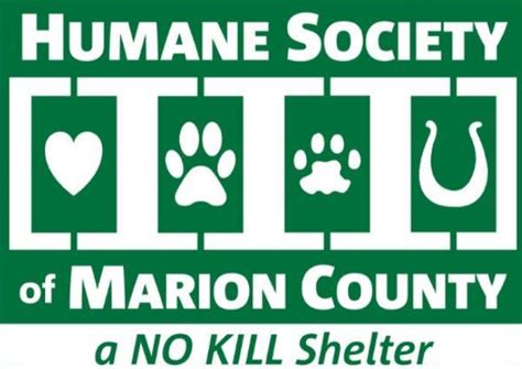 Humane Society of Marion County offers volunteer opportunities - Ocala-News.com