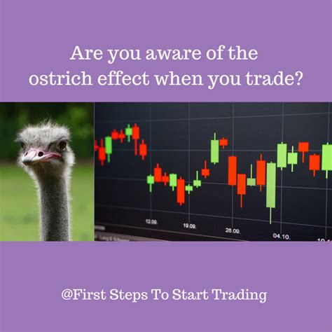 Ostrich effect — First Steps To Start Trading