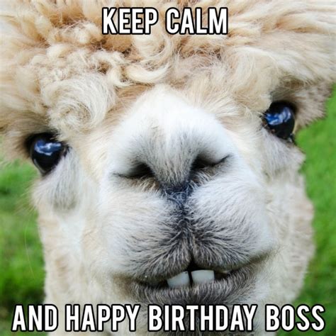 Happy Birthday Boss Meme - 20 Funny Boss Birthday Memes Images