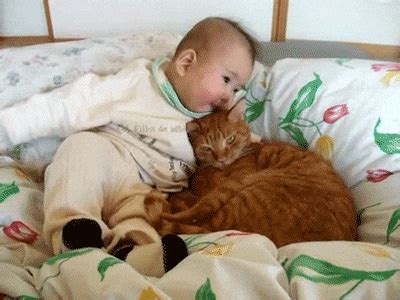 Baby And Cat GIFs - Find & Share on GIPHY