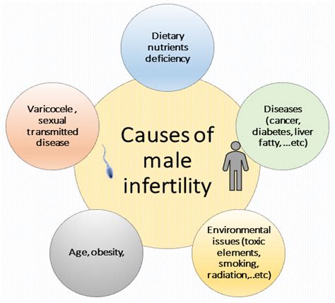 Common Causes of Male Infertility: Risk factors, Prevention