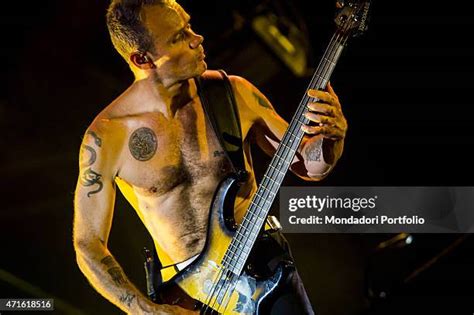 81 Flea Tattoos Stock Photos, High-Res Pictures, and Images - Getty Images