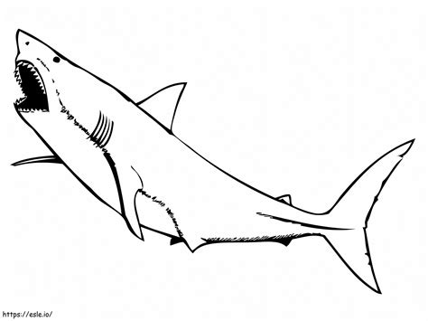 Great White Shark coloring page