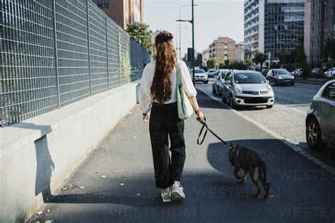 Woman walking with dog at sidewalk in city stock photo