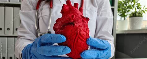 Doctor cardiologist holds layout of anatomy of heart in cardiology ...