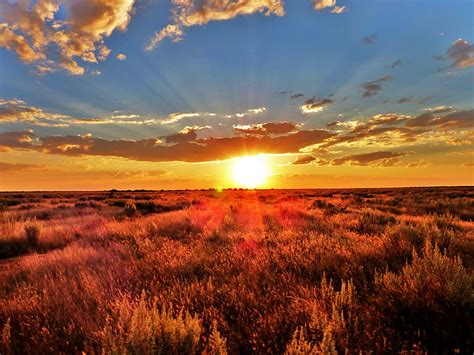 HD wallpaper: grass field during sunset, south africa, namibia, sunrise ...