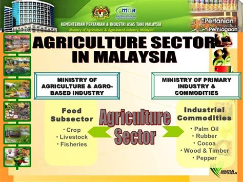 Overview Of Agriculture Sector In Malaysia