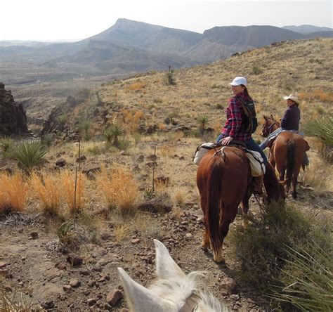 Horseback Riding - Visit Big Bend