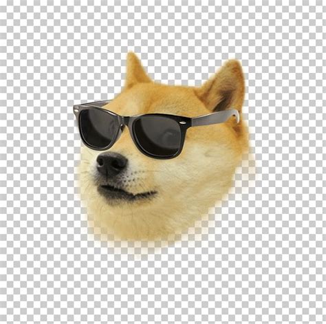 Shiba Inu Dogecoin Kabosu PNG, Clipart, Carnivoran, Comic Sans, Cryptocurrency, Dog, Dog Breed ...