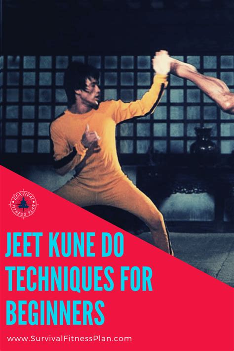 Jeet Kune Do Techniques for Beginners | Jeet kune do training, Martial ...