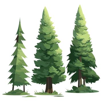 Evergreen Trees Vector, Sticker Clipart Two Large And Small Pine Trees ...