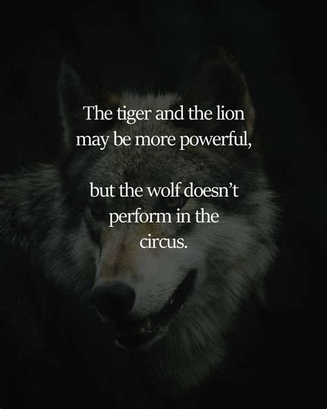 Pinterest | Me quotes, Wolf, Lion