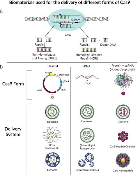 Table 2 from Biomaterials as vectors for the delivery of CRISPR-Cas9 ...