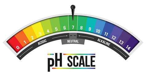 Creative Vector Illustration Of Ph Scale Value Isolated On Background Chemical Art Design ...